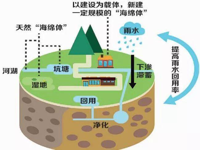 雨水收集利用系統(tǒng)都被應(yīng)用到什么領(lǐng)域？